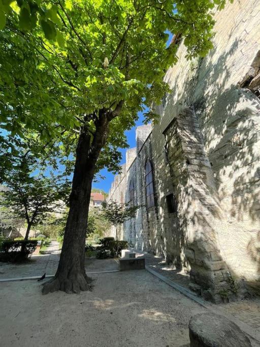 Charmant Studio, Centre Historique, Carmes Avignon Eksteriør bilde